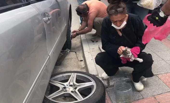 Bursa'da otomobile sıkışan kedi aracın lastiği sökülerek çıkartıldı