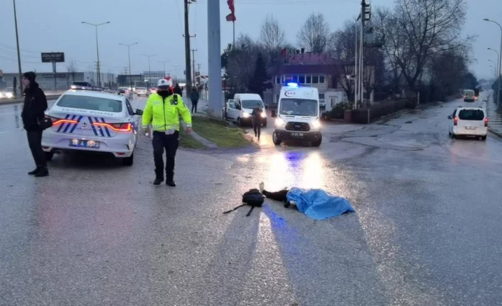 Bursa'da otomobilin çarptığı kadın hayatını kaybetti.