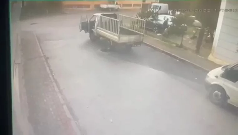Bursa'da sahipli köpeği kamyonetle çaldılar