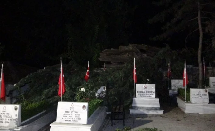 Bursa'da şehitlikte tarihi çınar ağacı mezarların üzerine devrildi