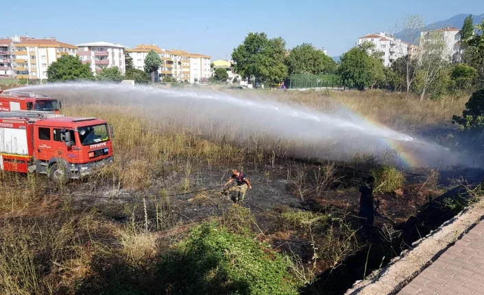 Bursa'da sigara izmariti yangın çıkardı, Paşa Çiftliği tehlike atlattı!