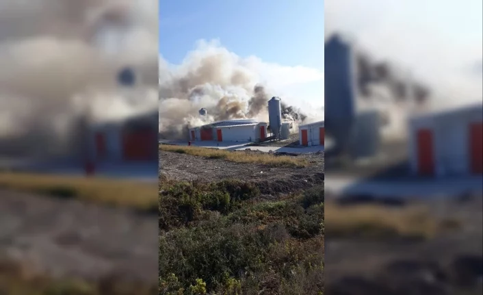 Bursa'da tavuk tesisi alev alev yandı