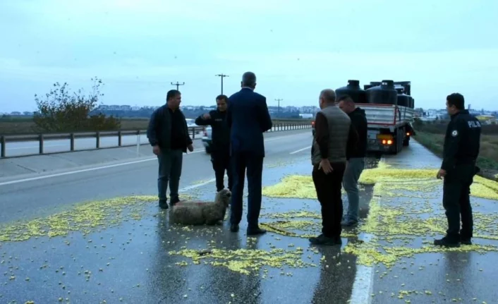 Bursa'da Tır şoförünün dikkati faciayı önledi