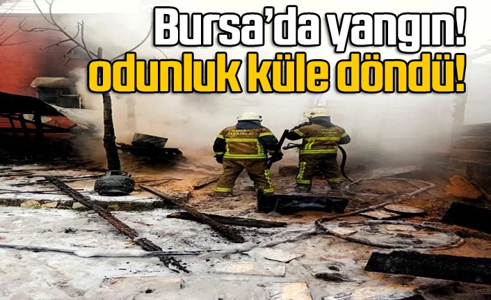 Bursa'da yangın! Odunluk küle döndü
