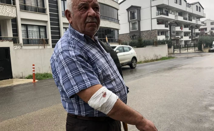 Bursa'da yaşlı adama başı boş köpekler saldırdı