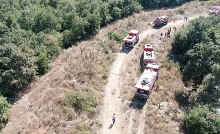Bursa'da yerleşim alanına yakın bulunan ormanlık alandaki yangın kısa sürede söndürüldü