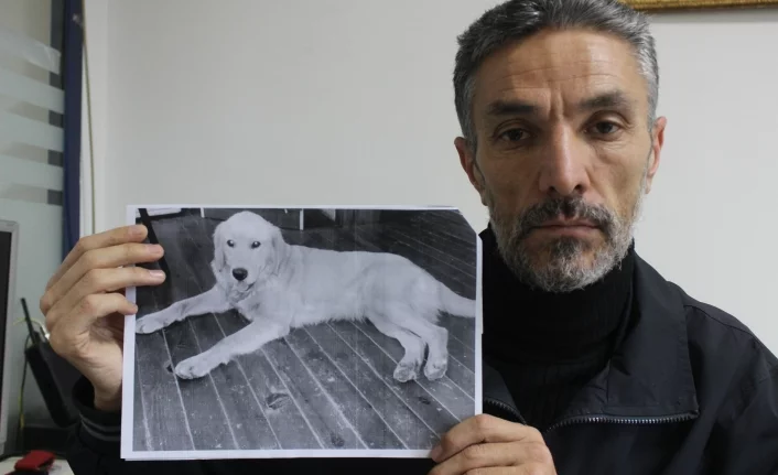 Bursa'da yola çıktı köpeğini Amerika'da buldu
