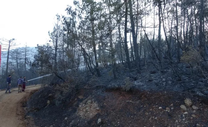 Bursa'daki orman yangını 18 saatlik müdahalenin ardından kontrol altına alındı