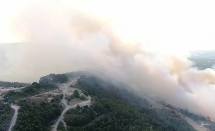 Bursa'daki orman yangını havadan görüntülendi!