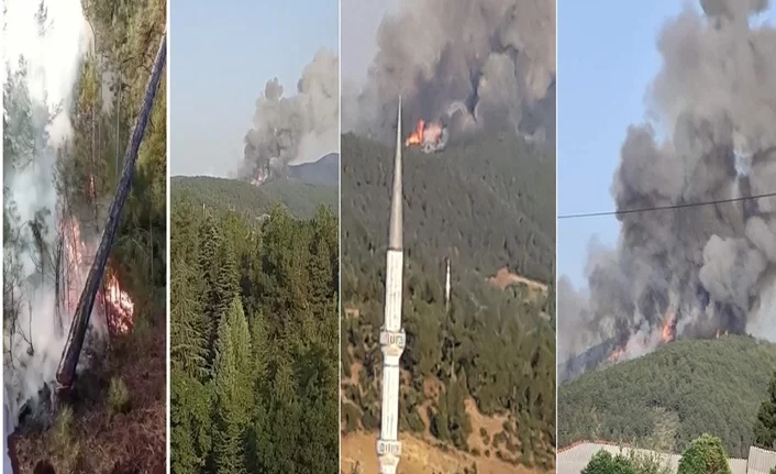 Bursa Harmancık'ta orman yangını!