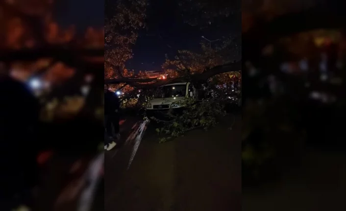 Bursa’da şiddetli lodos hayatı felç etti, ağaçlar araçların üzerine devrildi