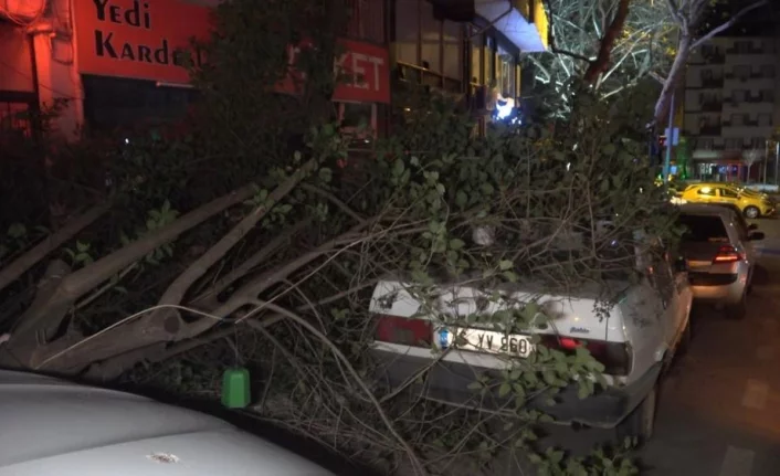 Bursa’da şiddetli lodosun etkisiyle kırılan ağaç, park halindeki otomobilin üzerine düştü