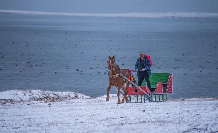 Çıldır Gölü'nün donmasını bekleyen atlı kızakçılar, karlı arazilere çıktı