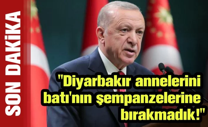 Erdoğan: "Diyarbakır annelerini batı'nın şempanzelerine bırakmadık!"