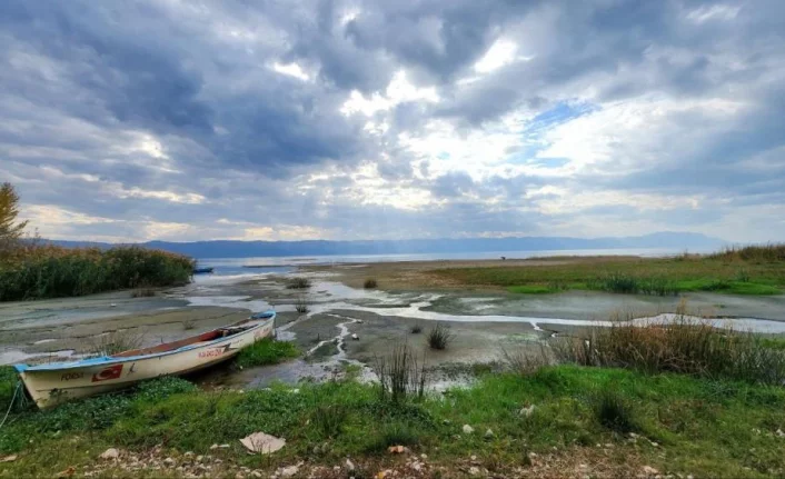 İznik Gölü'nde tehlike çanları çalıyor