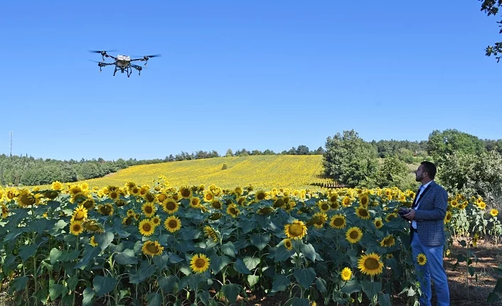 Kestel'de çayır istilasına dronlu çözüm