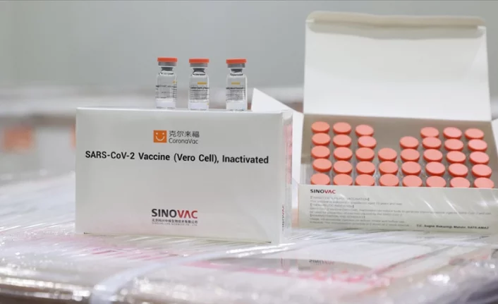 Kovid-19 aşısının Türkiye'deki süreci başladı