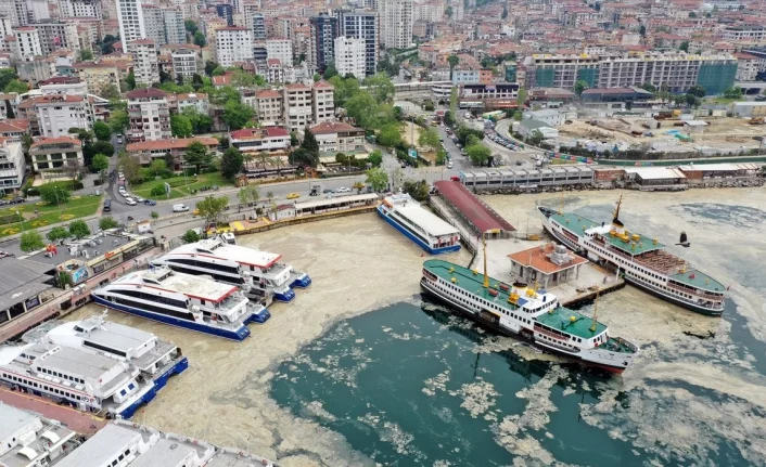 Marmara Denizi'ni deniz salyaları kapladı