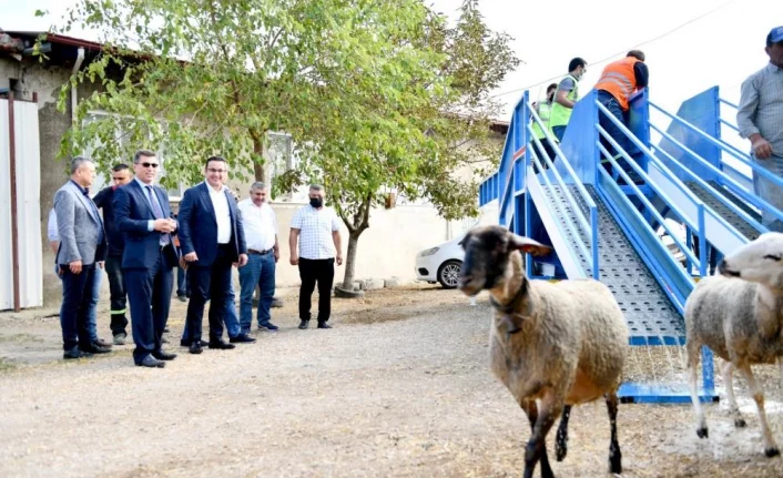 Mobil koyun banyosu çobanların ve koyunların hizmetinde