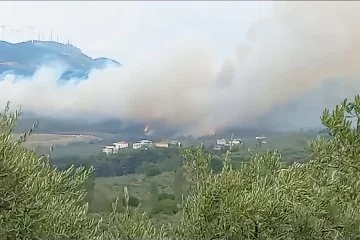 Mudanya’da orman yangını