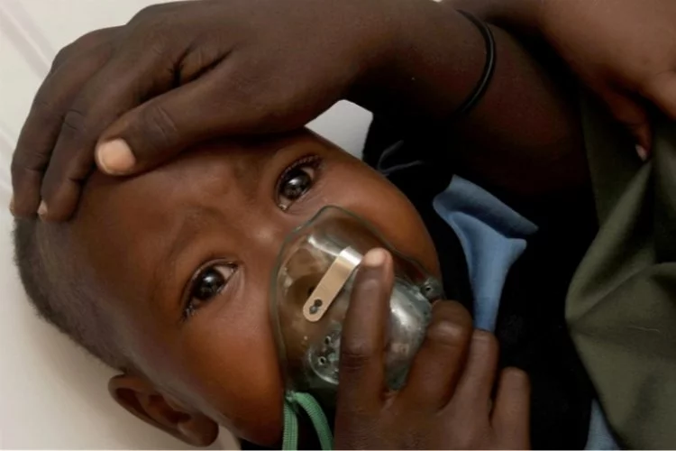 Nijerya'da 4 ayda Lassa salgını nedeniyle 156 kişi hayatını kaybetti
