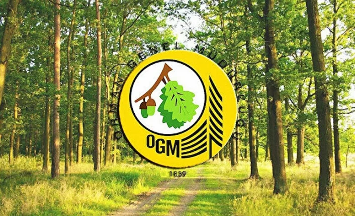 Orman Genel Müdürlüğü Sözleşmeli Personel alacak