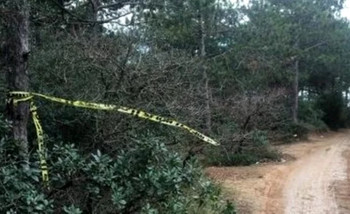 Ormanda ölü bulunan kadının katili oğlu çıktı! Olay anını anlattı