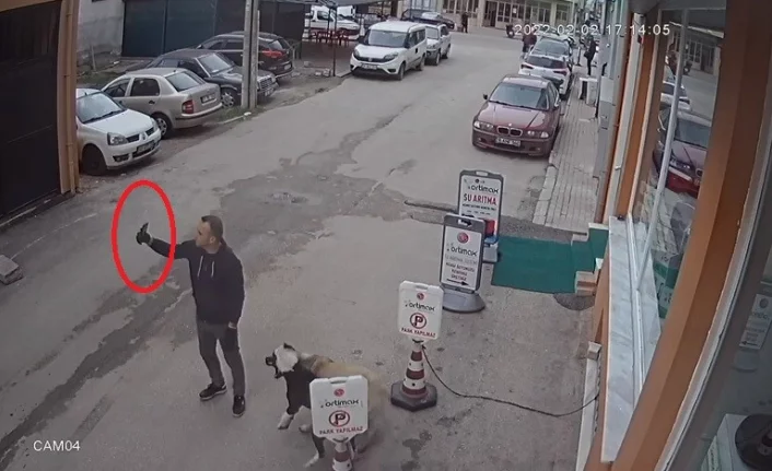 Pitbull köpeğini sokak köpeğine saldırttı, selfie çekti