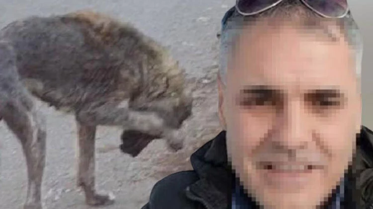 Bursa'da sokak hayvanlarını öldüreceğini söyleyen şahıs gözaltında