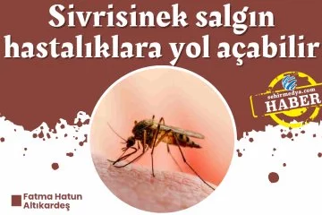 Sivrisinek salgın hastalıklara yol açabilir