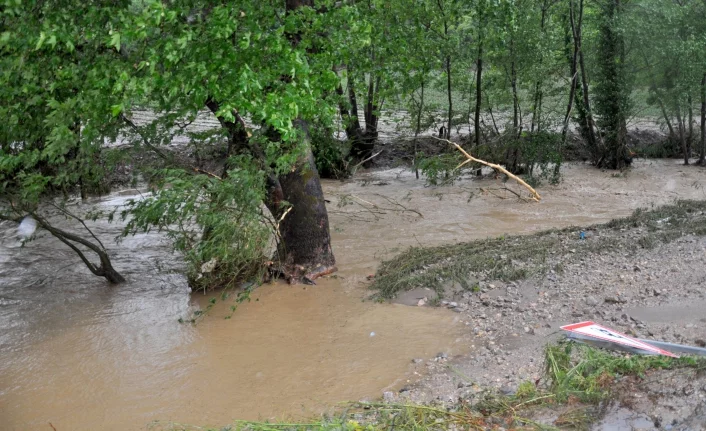 Sular altında kalan tarım alanlarında hasar tespiti başladı