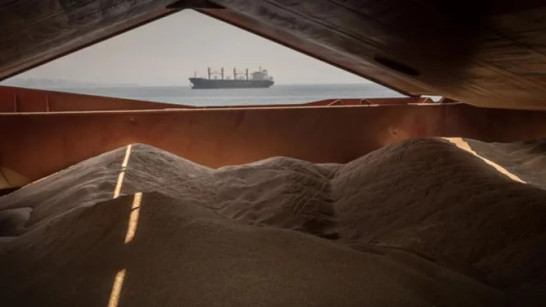 Tahıl koridorundan 501 gemi ile 12 milyon tondan fazla tahıl taşındı