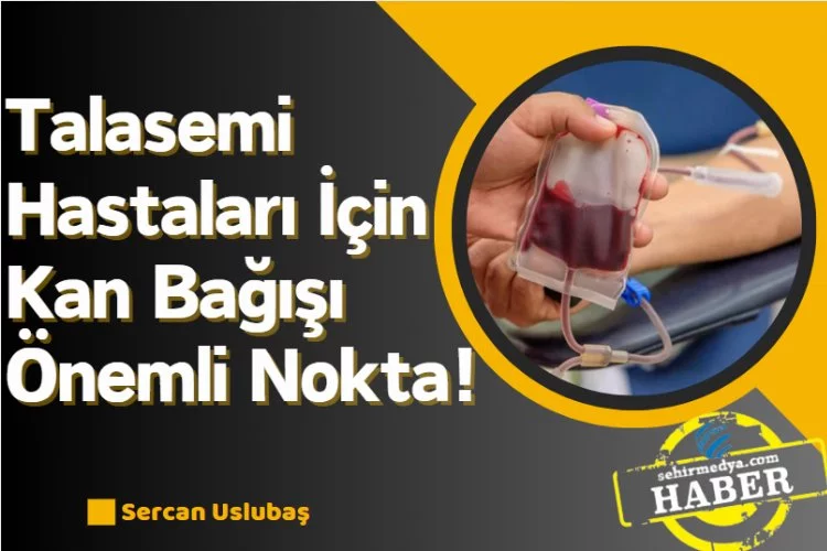 Talasemi Hastaları İçin Kan Bağışı Önemli Nokta!