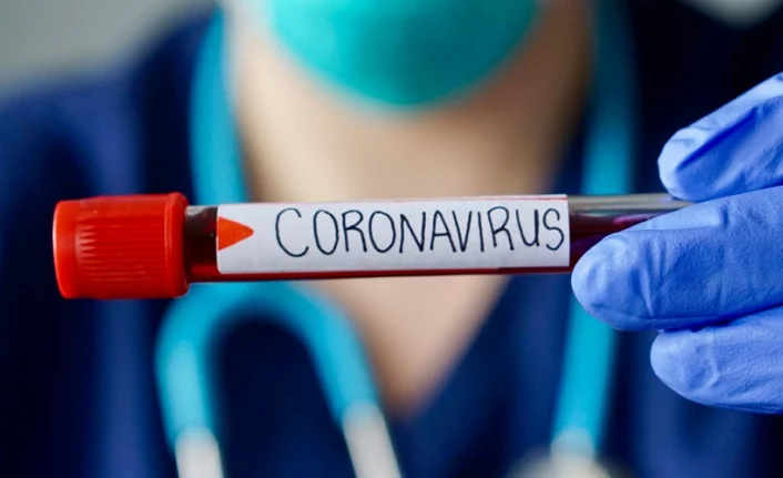 Türkiye'de ilk koronavirüs vakasının üstünden 1 yıl geçti