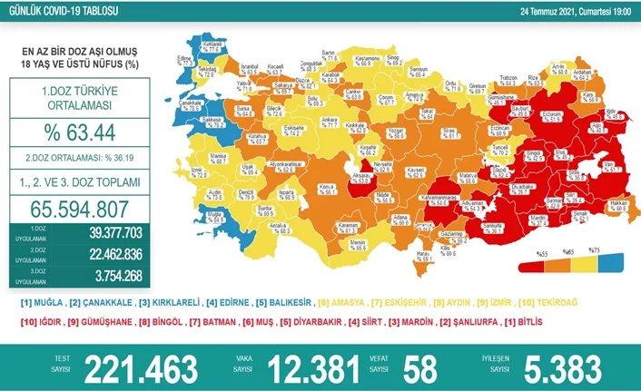 Türkiye'de son 24 saatte 12 bin 381 yeni vaka!