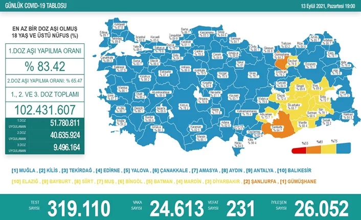 Türkiye'de son 24 saatte 24 bin 613 yeni vaka!