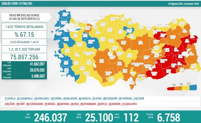 Türkiye'de son 24 saatte 25 bin 100 yeni vaka!