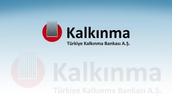 Türkiye Kalkınma ve Yatırım Bankası Bireysel Danışman alacak