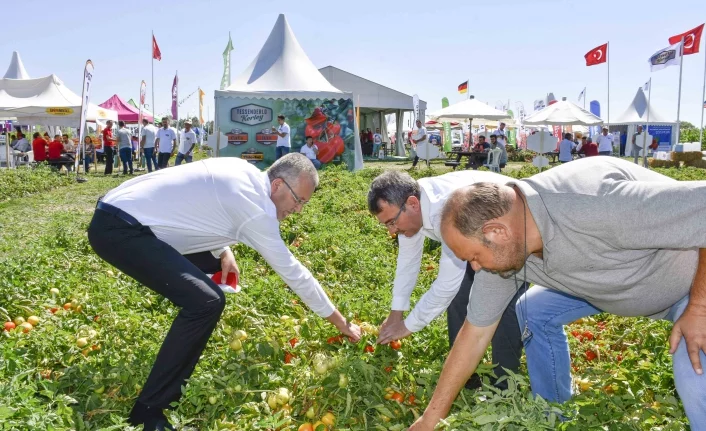 Türkiye’de ilk ! Karacabey'de domates fuarı