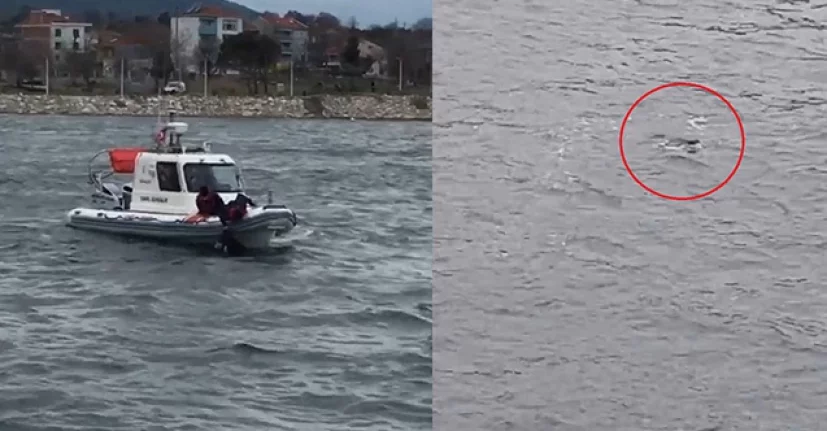 Ukrayna’dan ailesinin yanına gelen Türk öğrenci feribottan denize atlayarak hayatını kaybetti
