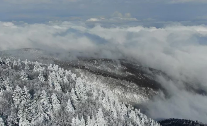 Uludağ'da sislerin ve bulutların arasında büyüleyici kar manzaraları