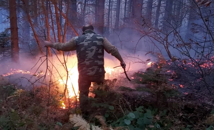 Uludağ'da orman yangını kontrol altında