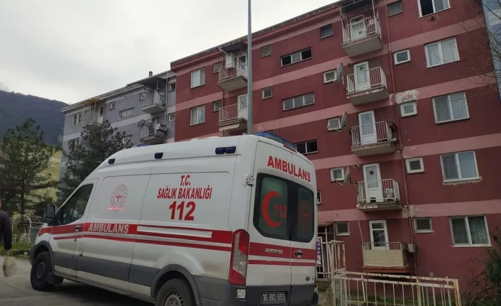 Bursa'da yaşlı kadının acı sonu! Şofbenden zehirlendi