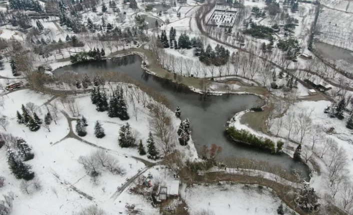 Yazın dolup taşan Botanik Park, kar yağınca hayvanlara kaldı