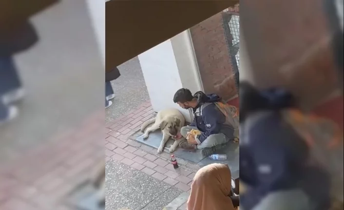 Yemeğini sokak köpeği ile paylaştı, sosyal medyada viral oldu